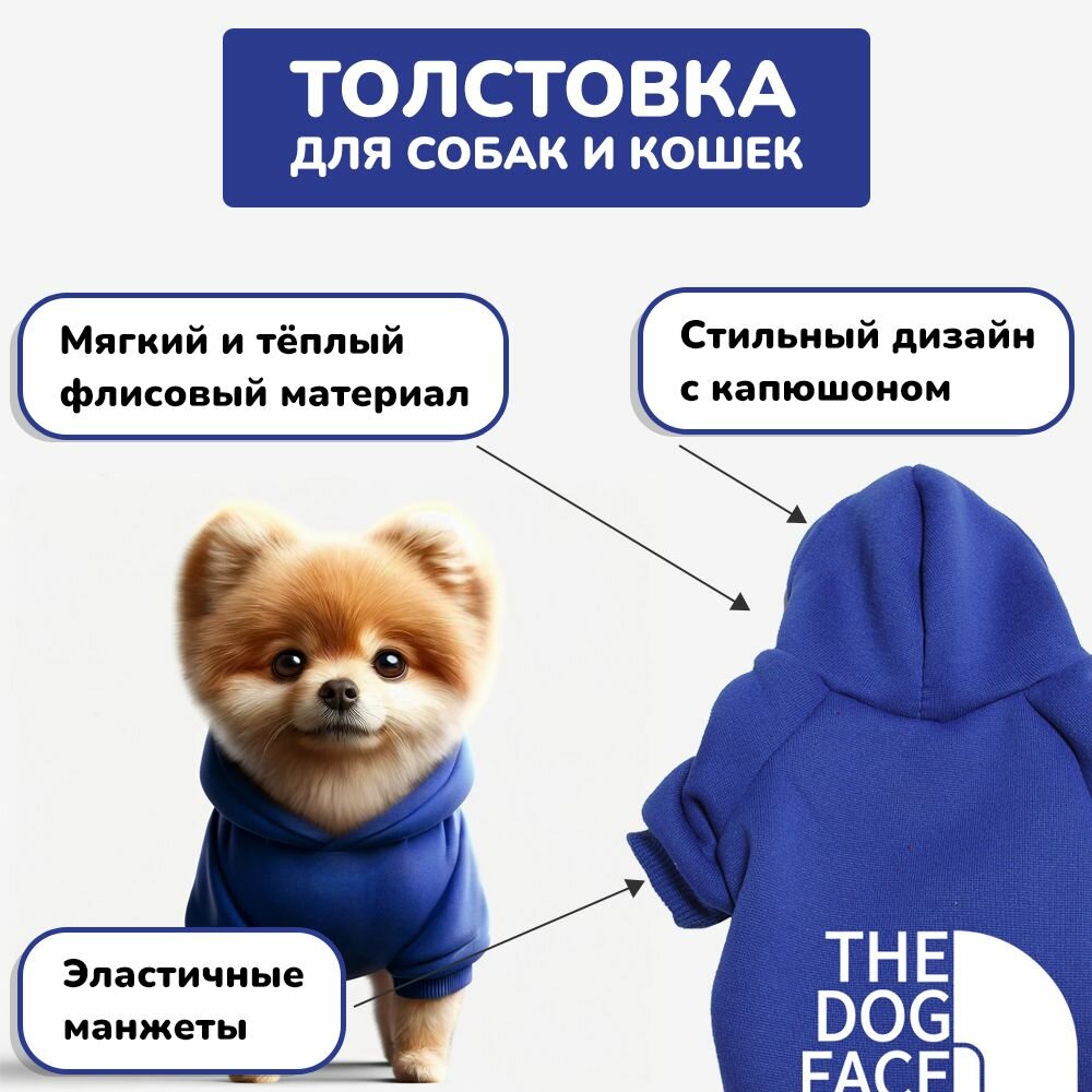 Худи для собак мелких пород и кошек, размер M, синий