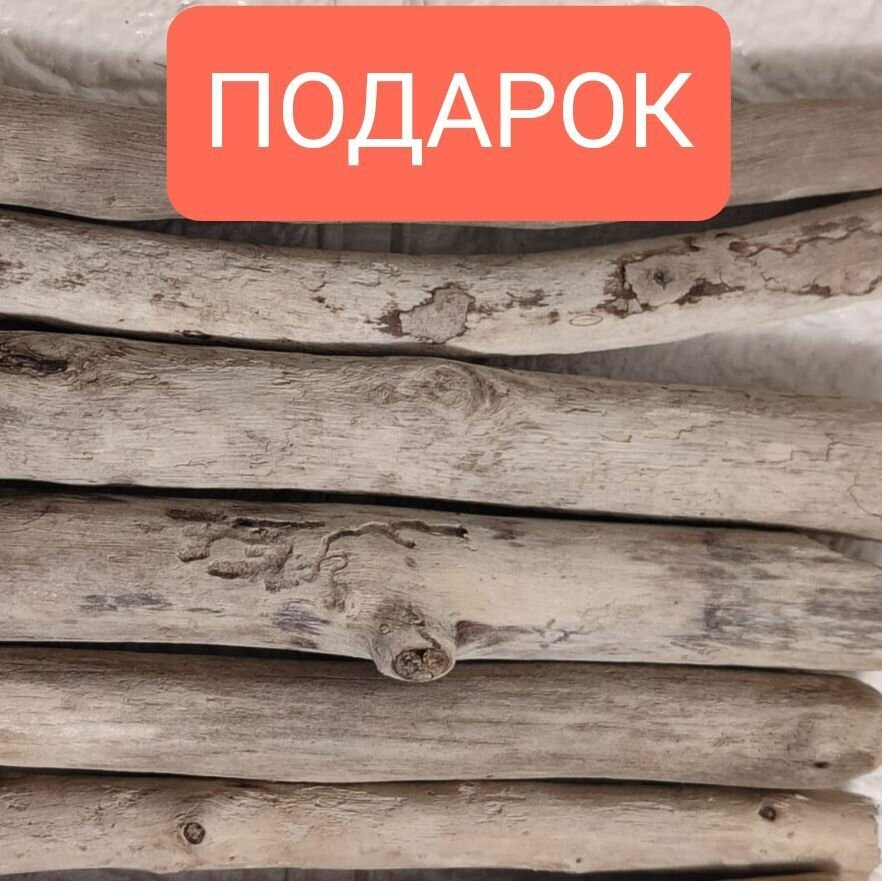 Дрифтвуд Черноморский,...