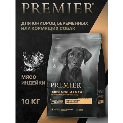 Сухой корм для собак Premier Dog Turkey JUNIOR Medium&Maxi для юниоров средних и крупных пород, с индейкой, 10 кг