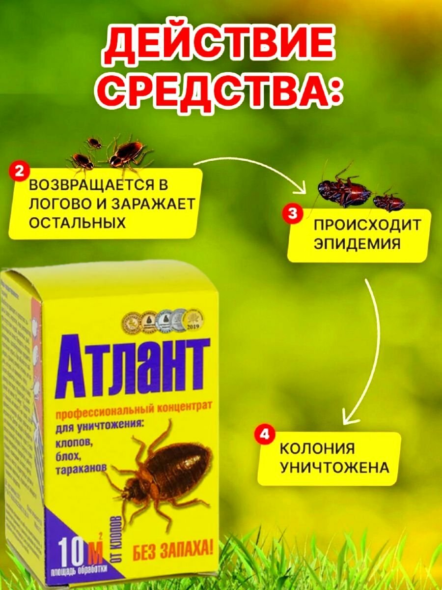 Средство от тараканов, клопов, блох, комаров, отрава против насекомых "Атлант", 5 г — фото 1