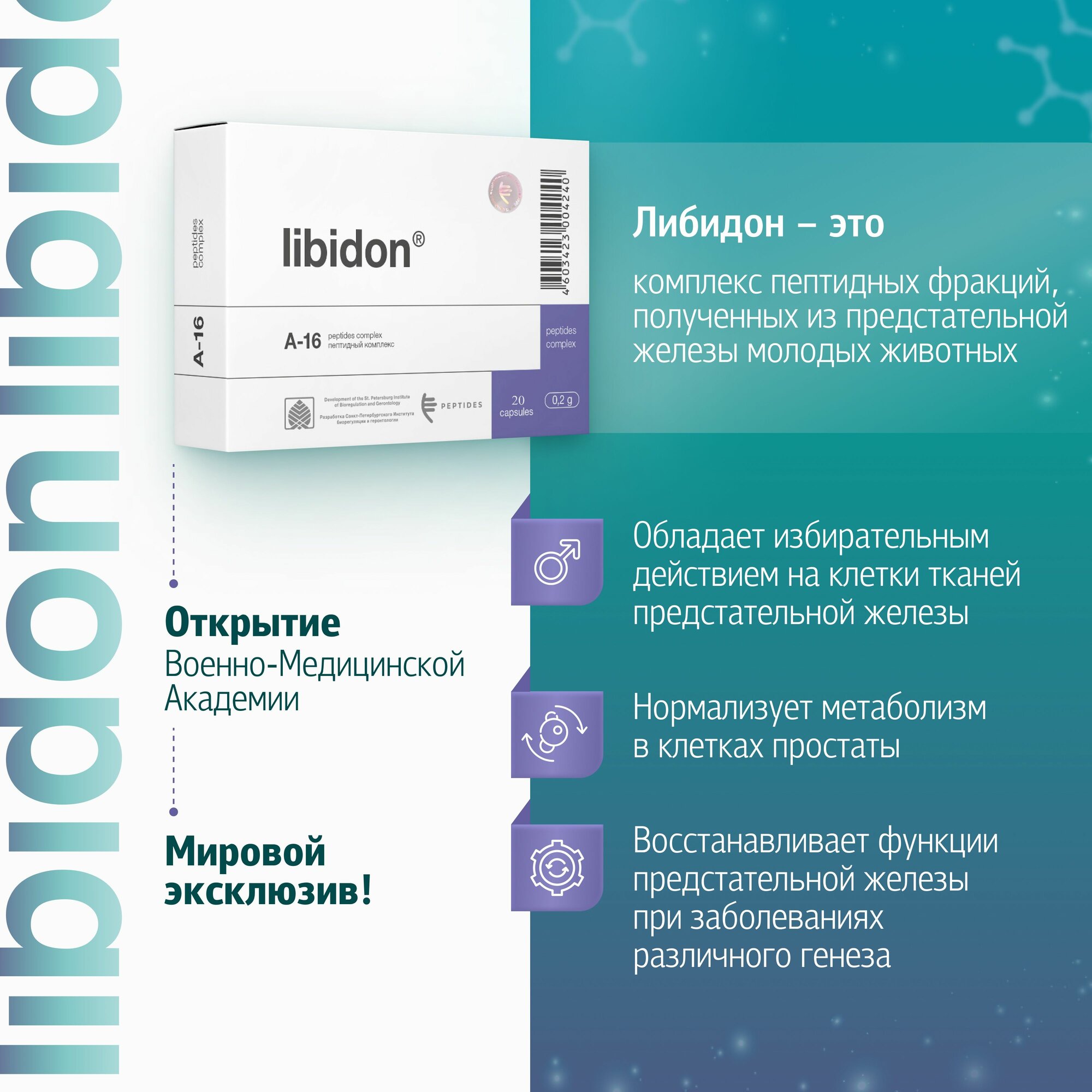 Картинки Либидон N20 - пептидный комплекс для предстательной железы поддержка мужской репродуктивной системы (20 капсул)