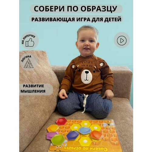 Развивающая игра для дошкольников Соты