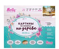 Molly Картина по номерам "Букет полевых ромашек" 40х50 см (KD0056)