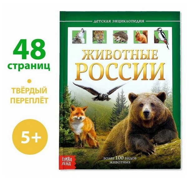 Детская энциклопедия в твёрдом переплёте "Животные России", 48 стр.