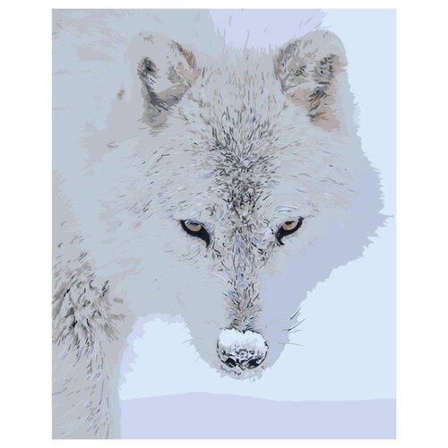 девочка и белый волк раскраска картина по номерам на холсте Полярный волк Раскраска картина по номерам на холсте