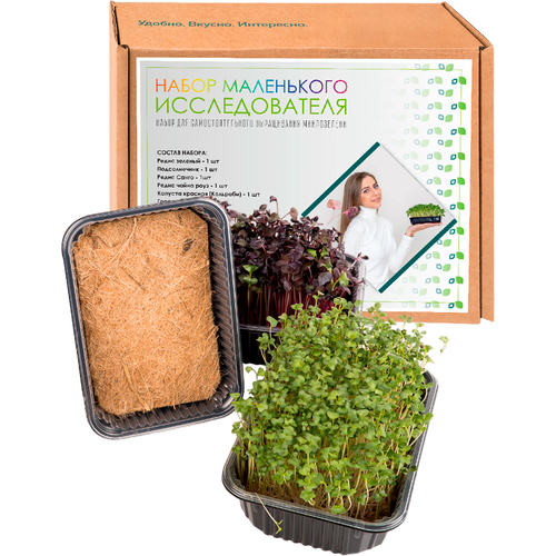 Детский набор для выращивания микрозелени набор семян микрозелени редис чайна роуз 5 г х 2 уп
