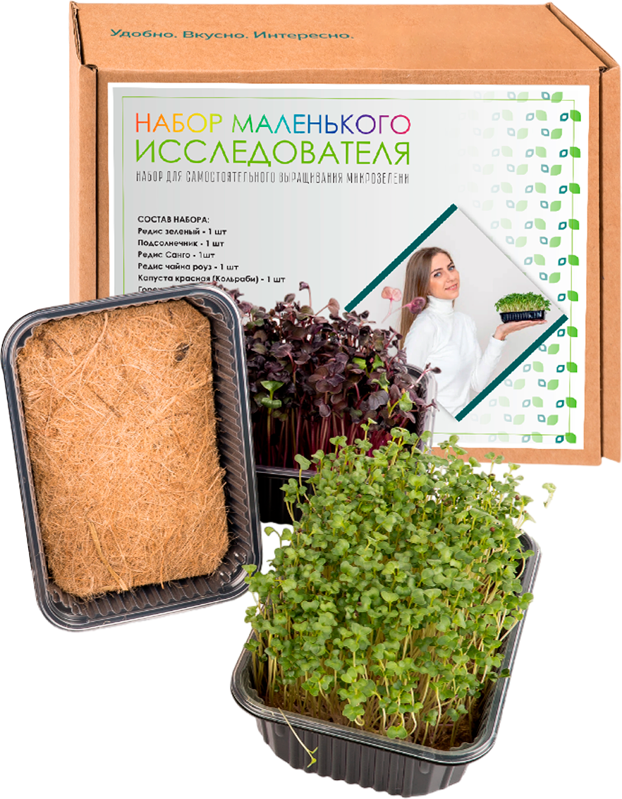 Детский набор для выращивания микрозелени