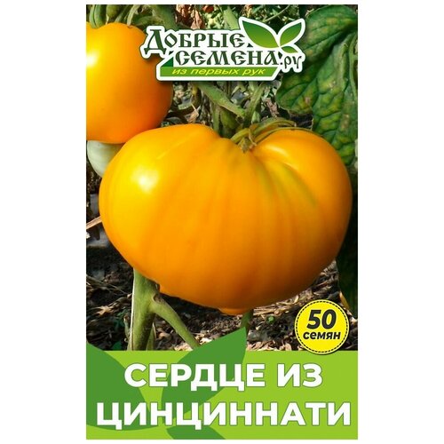 Семена томата Сердце из Цинциннати - 50 шт - Добрые Семена. ру