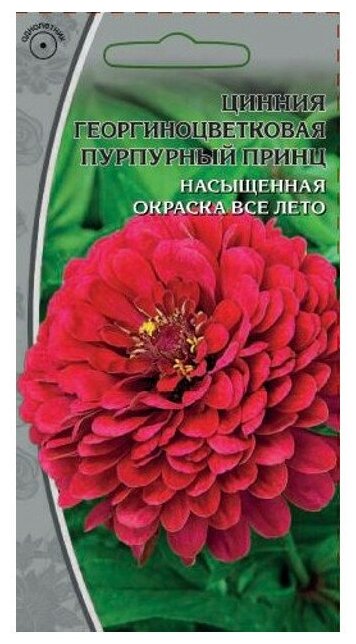 Семена Цинния Пурпурный принц 0,5г для дачи, сада, огорода, теплицы / рассады в домашних условиях