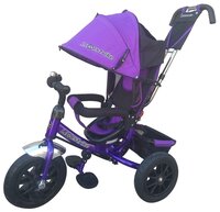 Трехколесный велосипед Shantou City Daxiang Plastic Toys Lexus Trike 950-N1210P красный