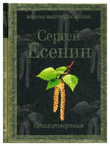 Стихотворения (Есенин Сергей Александрович) - фото №15