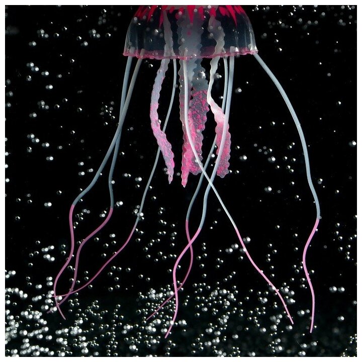 Декор для аквариума"Медуза" силиконовая, с неоновым эффектом, 5 х 5 х 15 см, розовая 7108867 . - фотография № 2