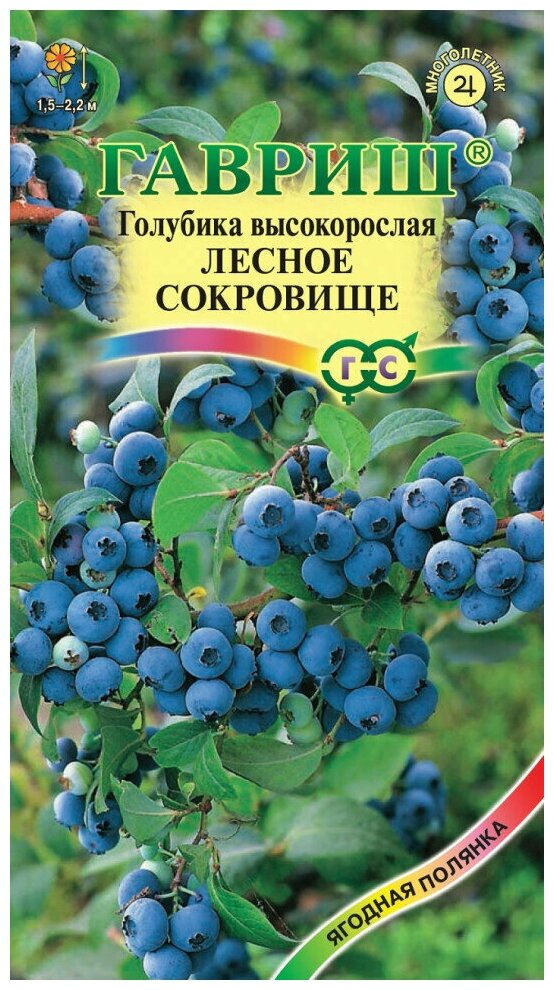 Семена Гавриш Голубика высокорослая Лесное сокровище 30 шт.