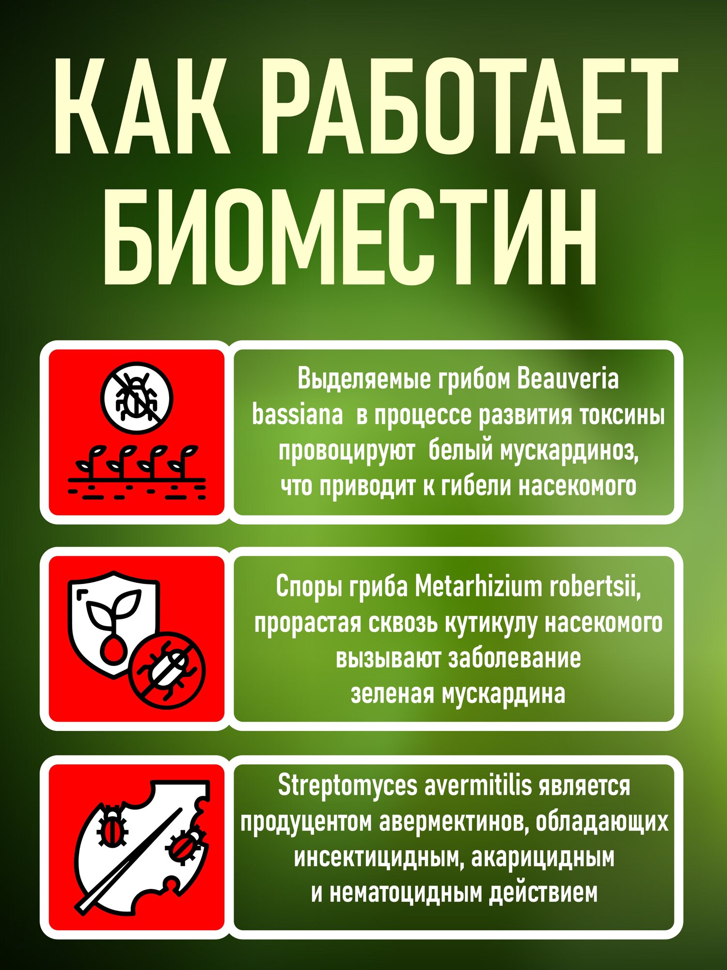 Биоинсектицид Beauveria bassiana, Metarhizium robertsii, Streptomyces avermitilis против вредителей, "Биоместин", 1 литр - фотография № 3