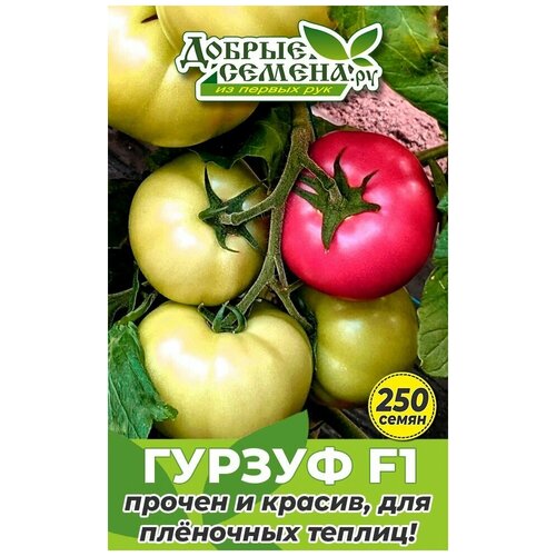 Семена томата Гурзуф F1 - 250 шт - Добрые Семена. ру семена томата азарт f1 250 шт добрые семена ру