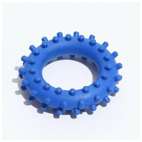 игрушка кольцо с шипами 6 15 5 см синяя зооник Игрушка Кольцо с шипами No. 1, 6,1 см, синяя, 1 шт.