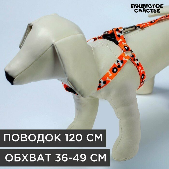 Комплект «Собака» шлейка 36-49 см поводок 120х1.5 см
