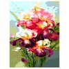 Цветной Картина по номерам Цветущие ирисы 30х40 см (ME1027) - изображение