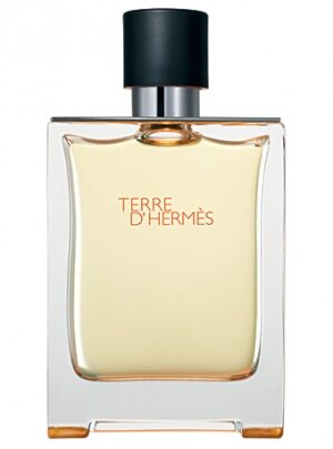 Туалетная вода Hermes мужская Terre D`Hermes Eau De Toilette 100 мл