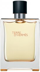 Туалетная вода Hermes Terre d'Hermes, 100 мл