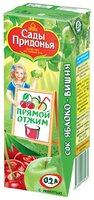 Сок с мякотью Сады Придонья Яблоко-вишня (Tetra Pak), c 4 месяцев 0.2 л