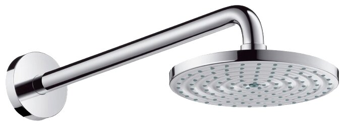 Верхний душ Raindance Hansgrohe 27462000