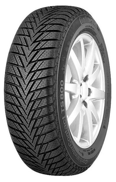 Continental ContiWinterContact TS 800 175/60 R15 81T зимняя
