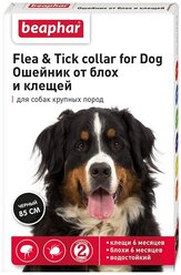 Beaphar ошейник от блох и клещей Flea & Tick для собак, 85 см