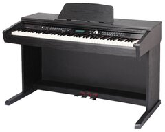 Синтезаторы и MIDI-клавиатуры Medeli или Синтезаторы и MIDI-клавиатуры DENN — какие лучше