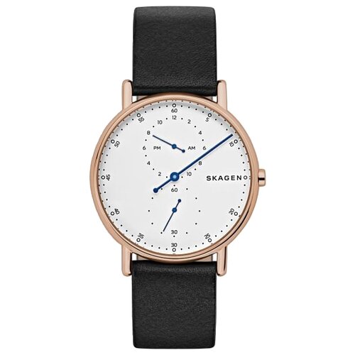 Наручные часы SKAGEN Signatur SKW6390, золотой наручные часы skagen signatur skw2593 золотой синий