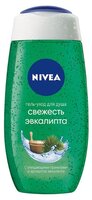 Гель для душа Nivea Свежесть эвкалипта 250 мл