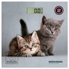 Весы электронные REDMOND RS-735 (котята) - изображение