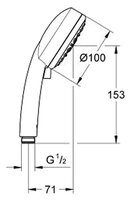 Лейка для душа Grohe New Tempesta Cosmopolitan 100 27572001 хром