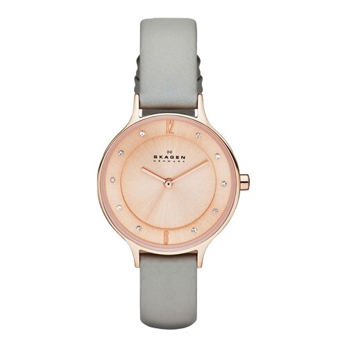 Наручные часы Skagen SKW2148