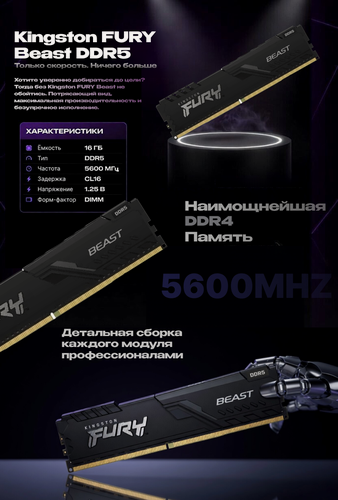 Изображение товара Память Kingston FURY Beast Black (16ГБ * 1 Шт.) DDR5 5600МГц CL40 DIMM (KF556C40BB-16)