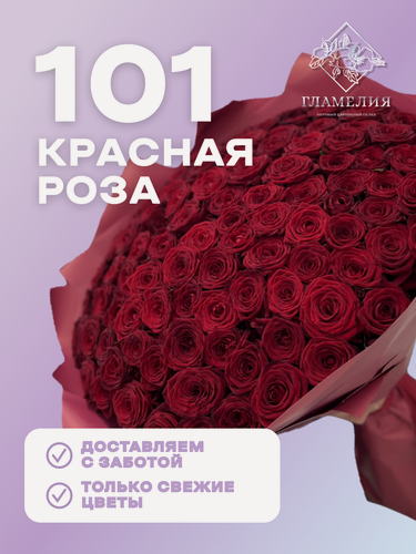 Изображение товара Гламелия цветы «Королевский бархат»: 101 роза Red Naomi в пленке – купить свежие цветы с доставкой в Москве
