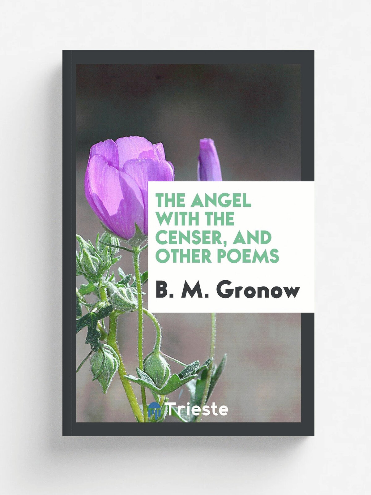 The angel with the censer, and other poems