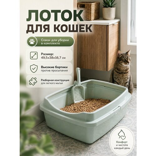 фото Туалет для кошек с совком большой 49,5х38х16,7 см, ментоловый ddstyle
