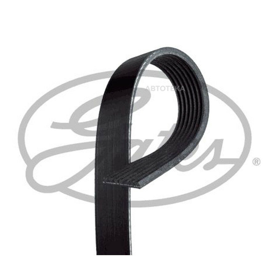 Ремень поликлиновой GATES 7PK1038SF