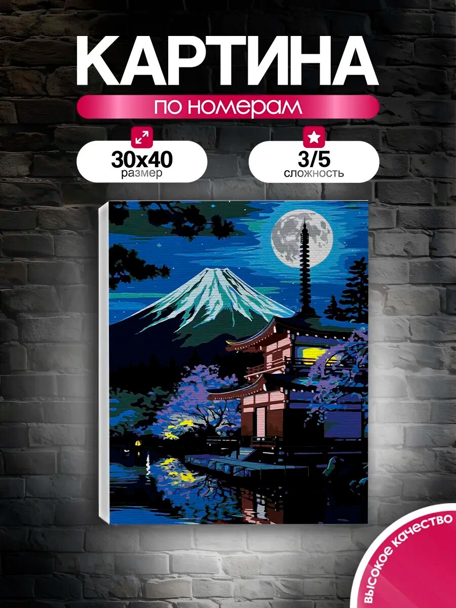 Картина по номерам 30x40 Япония Ночь