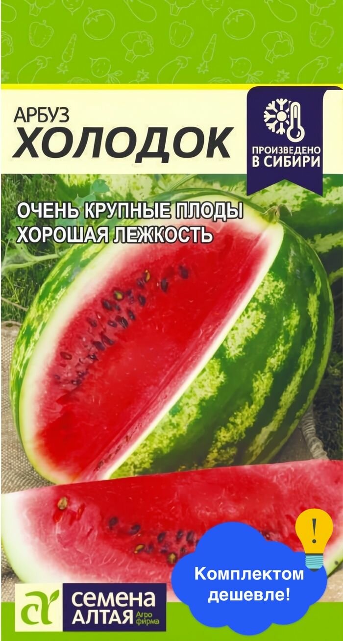 Арбуз Холодок