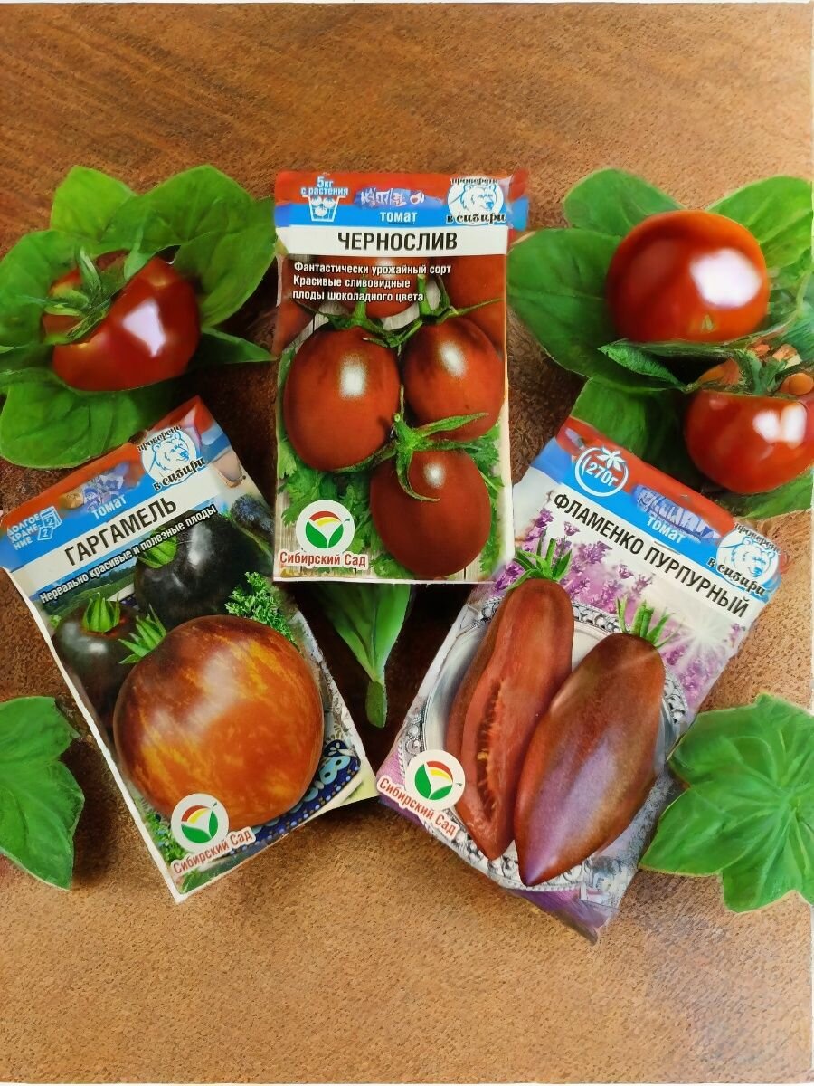Набор семян шоколадных томатов 3 сорта по 1 пакету  Чернослив   Гаргамель  Фламенко пурпурный   Агрофирма Сибирский Сад