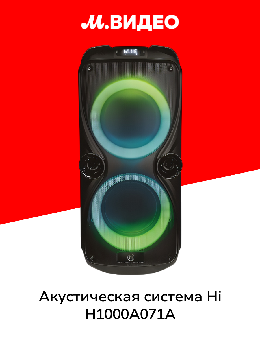 Акустическая система Hi H1000A071A