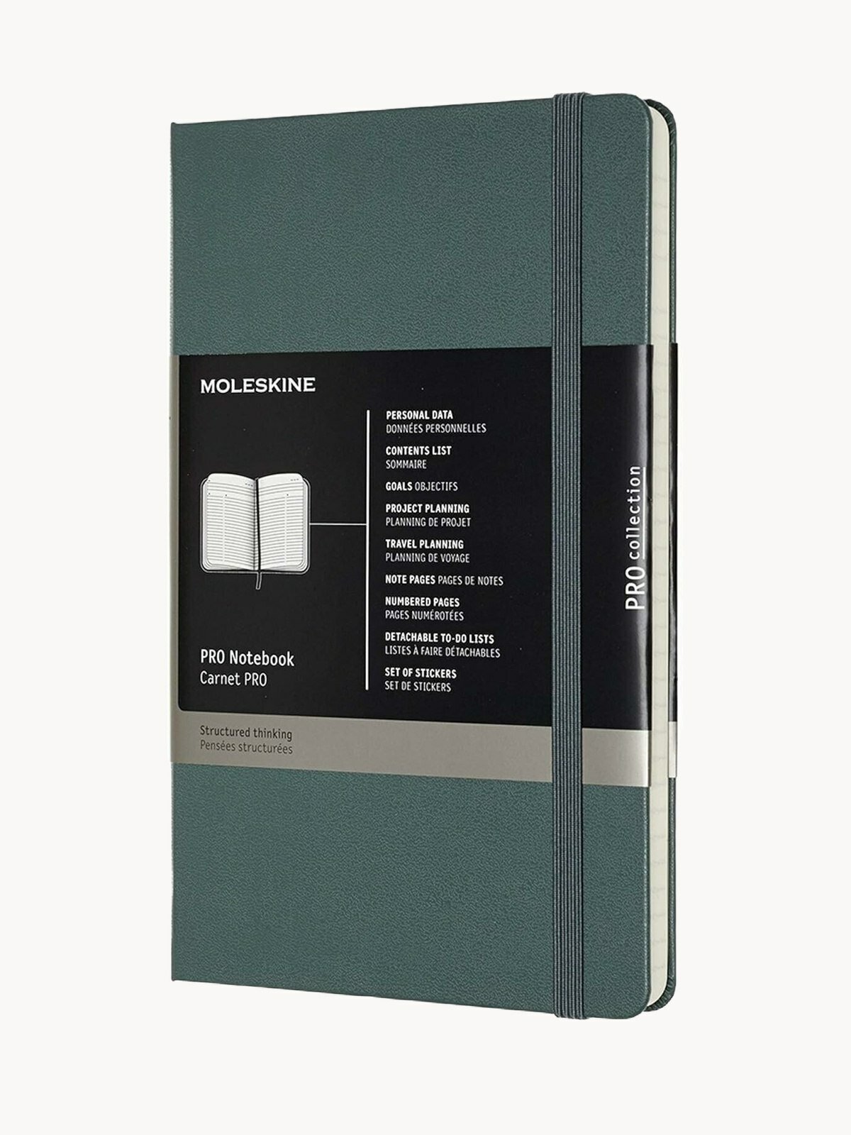 Записная книжка Moleskine Pro PROPFNTB3HK19 Large 130х210мм, 240стр, линейка, твердая обложка, зеленый