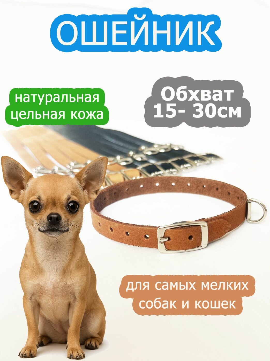 Ошейник для собак мелких пород кошек
