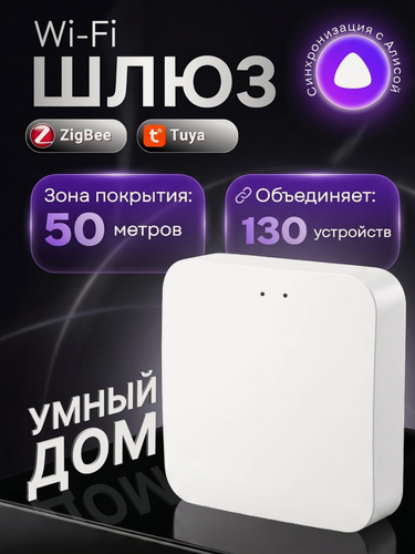 Изображение товара WiFi-шлюз G2 Tuyа, для умных замков и устройств, экосистема умного дома