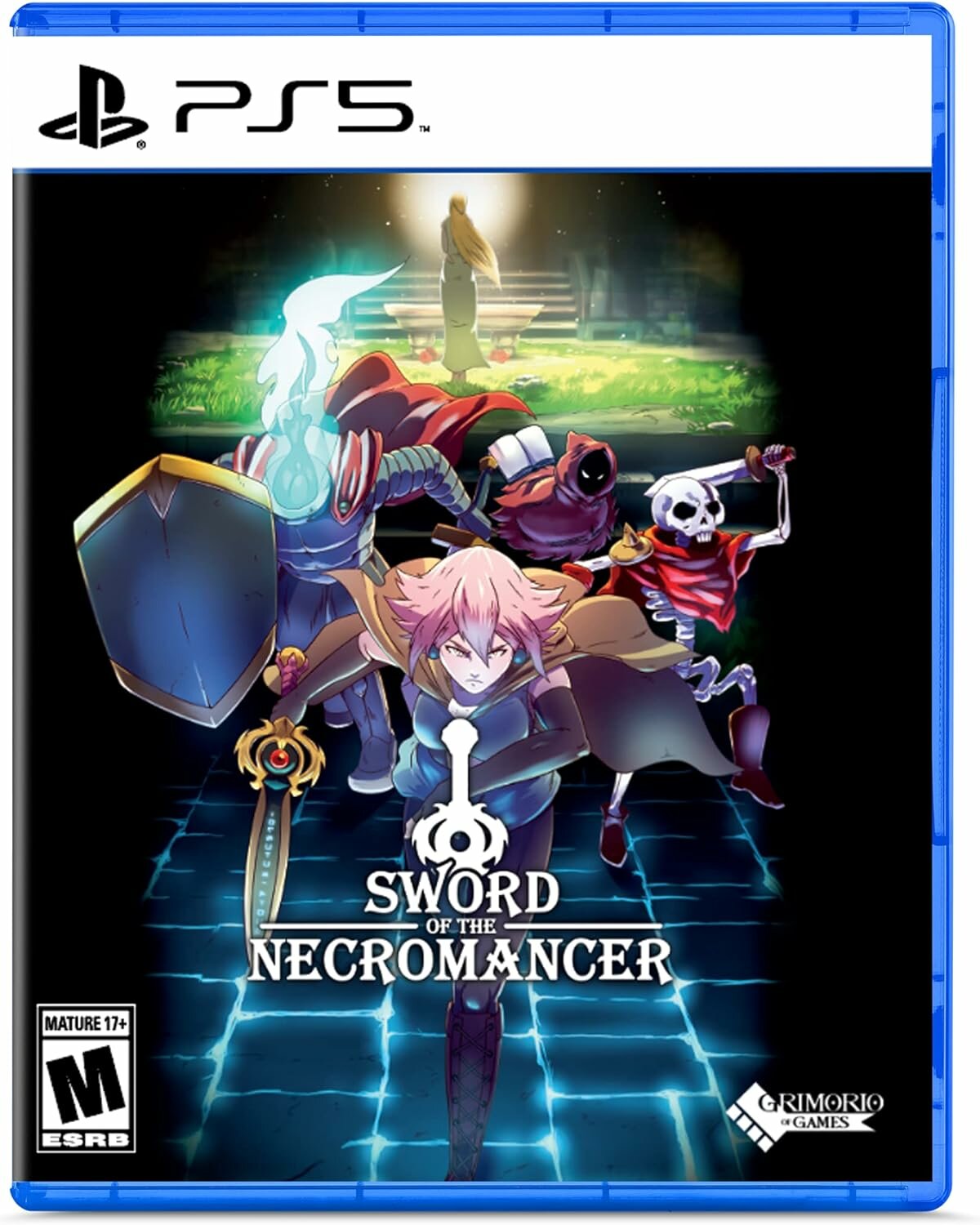 Sword of the Necromancer для PS5