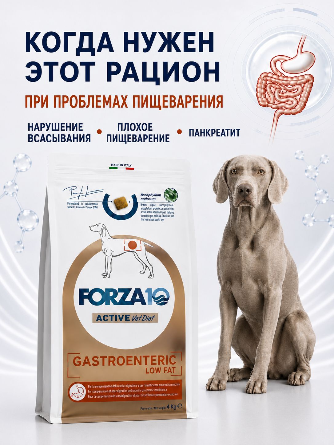 Сухой корм FORZA10 GASTROENTERIC для взрослых собак всех пород при проблемах ЖКТ, 10 кг