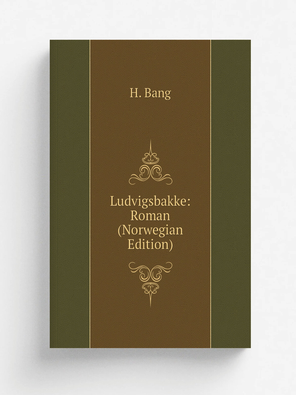 Ludvigsbakke: Roman (Norwegian Edition) | H. Bang | Репринт