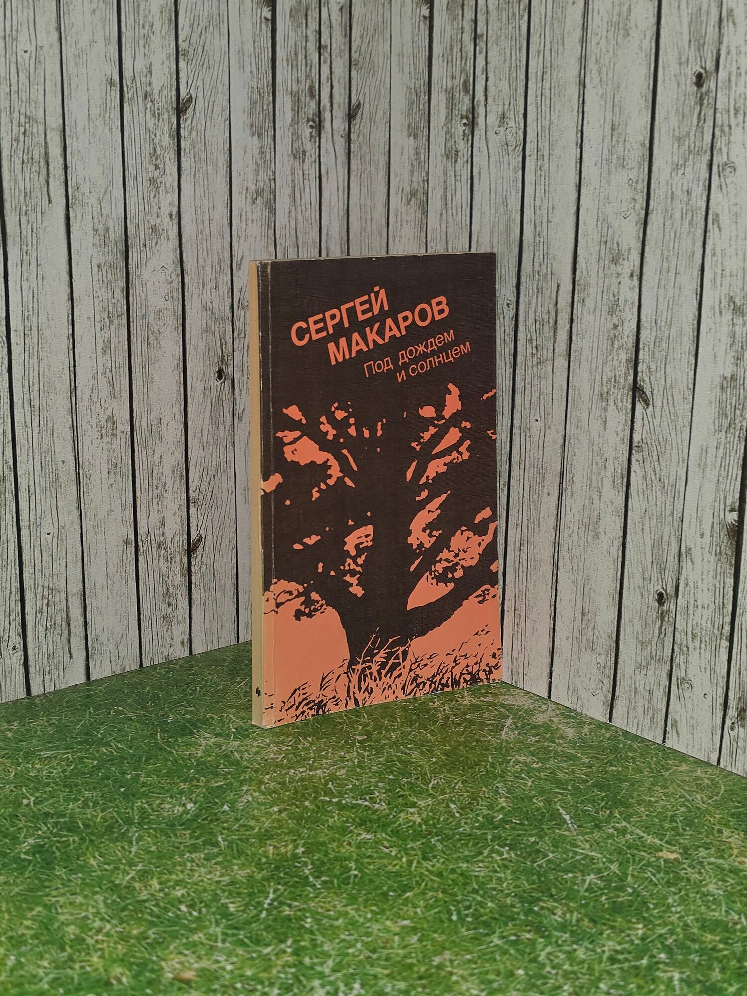 Книга " Под дождем и солнцем. "